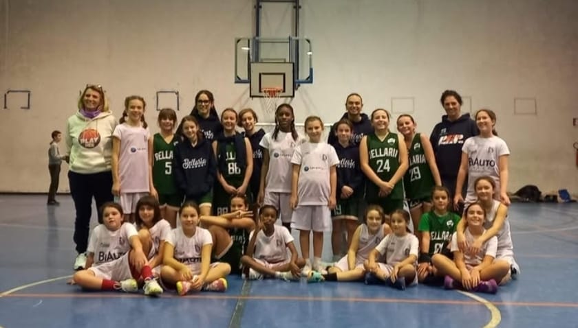 gazzelle femm a bellaria